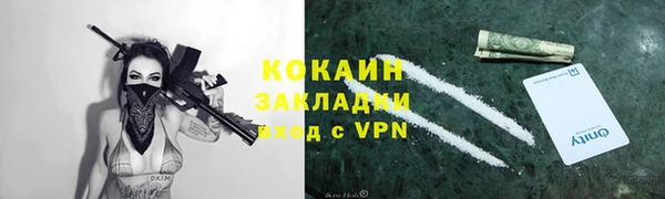 гидра Алексин