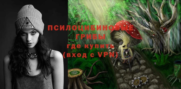 дмт Алексеевка
