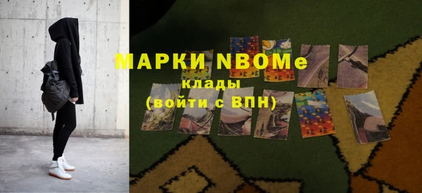 прущие грибы Абаза